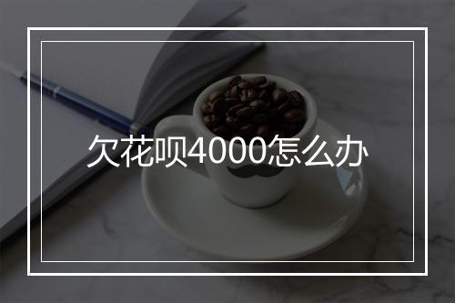 欠花呗4000怎么办