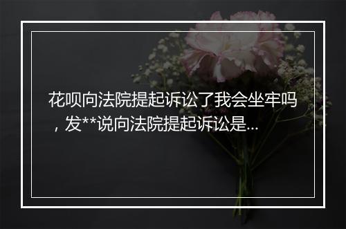 花呗向法院提起诉讼了我会坐牢吗，发**说向法院提起诉讼是真的吗