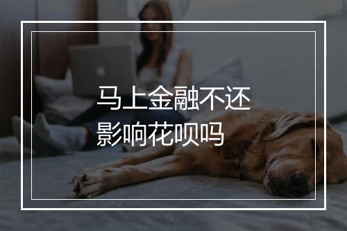 马上金融不还影响花呗吗