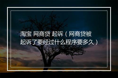 淘宝 网商贷 起诉（网商贷被起诉了要经过什么程序要多久）