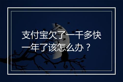 支付宝欠了一千多快一年了该怎么办？
