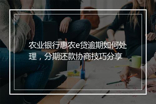 农业银行惠农e贷逾期如何处理，分期还款协商技巧分享