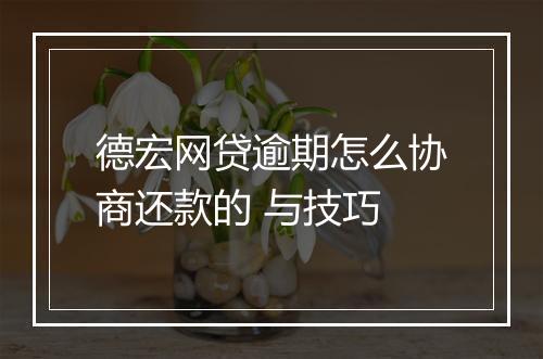 德宏网贷逾期怎么协商还款的 与技巧
