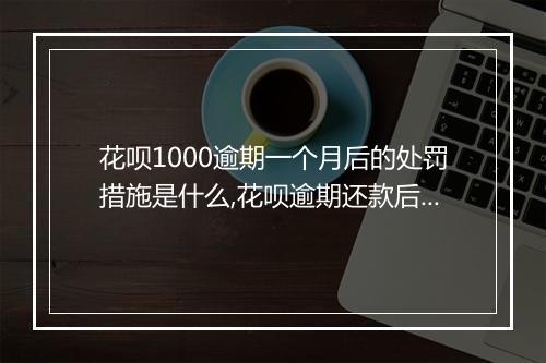 花呗1000逾期一个月后的处罚措施是什么,花呗逾期还款后如何解决