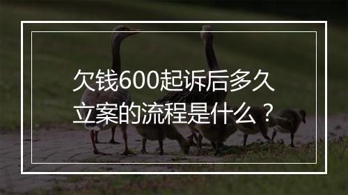 欠钱600起诉后多久立案的流程是什么？