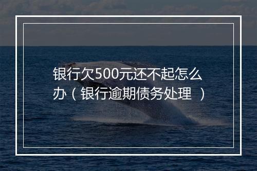 银行欠500元还不起怎么办（银行逾期债务处理 ）
