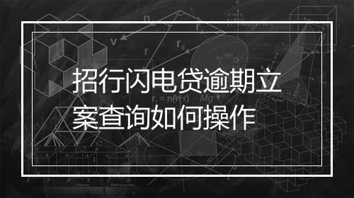 招行闪电贷逾期立案查询如何操作