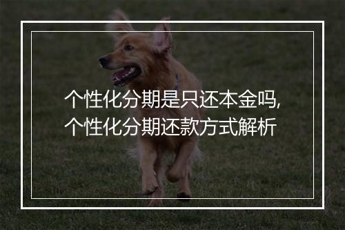 个性化分期是只还本金吗,个性化分期还款方式解析
