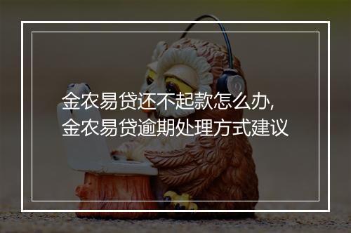 金农易贷还不起款怎么办,金农易贷逾期处理方式建议