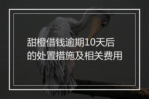 甜橙借钱逾期10天后的处置措施及相关费用