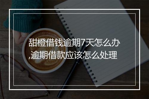 甜橙借钱逾期7天怎么办,逾期借款应该怎么处理