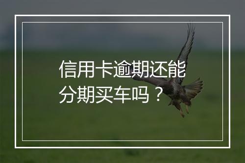 信用卡逾期还能分期买车吗？