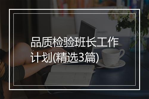 品质检验班长工作计划(精选3篇)
