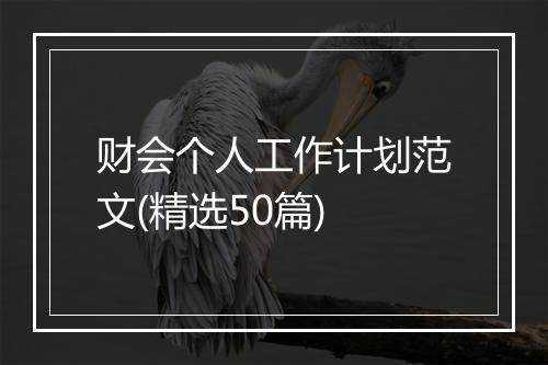 财会个人工作计划范文(精选50篇)