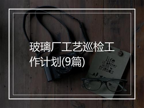玻璃厂工艺巡检工作计划(9篇)
