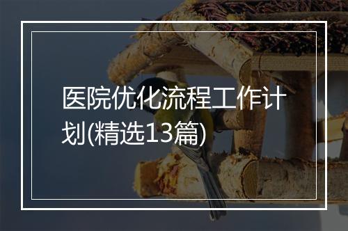 医院优化流程工作计划(精选13篇)