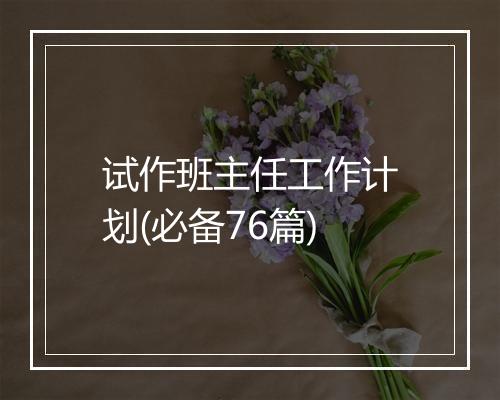 试作班主任工作计划(必备76篇)