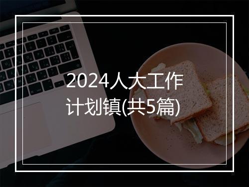 2024人大工作计划镇(共5篇)