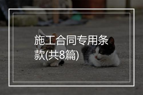 施工合同专用条款(共8篇)