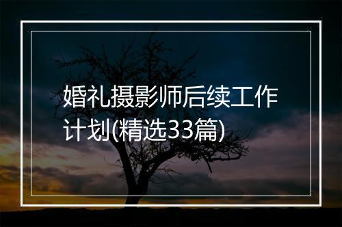 婚礼摄影师后续工作计划(精选33篇)