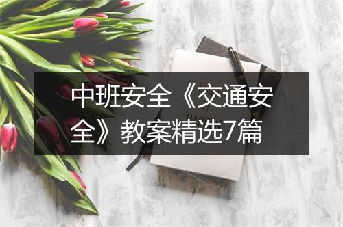 中班安全《交通安全》教案精选7篇