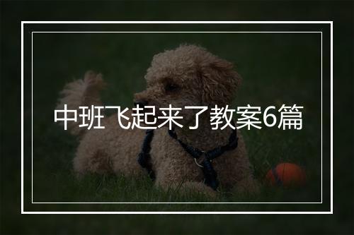 中班飞起来了教案6篇