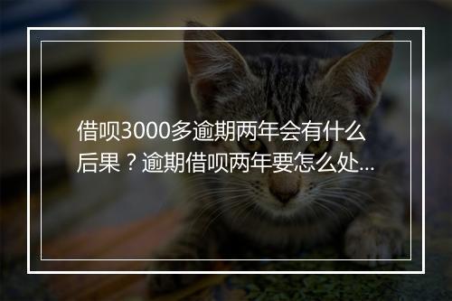 借呗3000多逾期两年会有什么后果？逾期借呗两年要怎么处理？