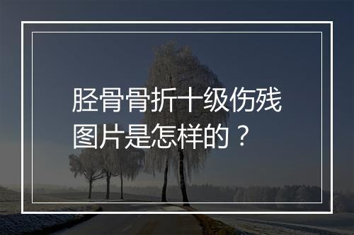 胫骨骨折十级伤残图片是怎样的？