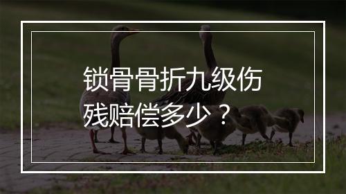锁骨骨折九级伤残赔偿多少？