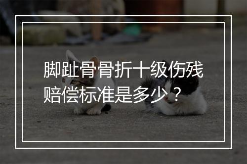 脚趾骨骨折十级伤残赔偿标准是多少？