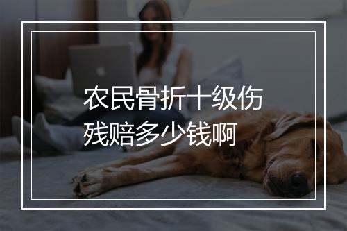农民骨折十级伤残赔多少钱啊