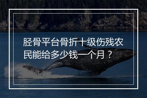 胫骨平台骨折十级伤残农民能给多少钱一个月？