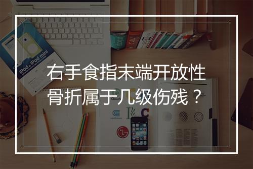 右手食指末端开放性骨折属于几级伤残？