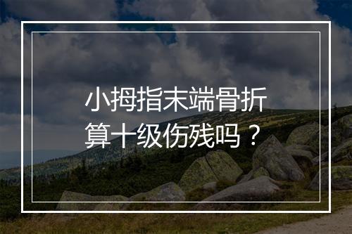 小拇指末端骨折算十级伤残吗？