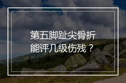 第五脚趾尖骨折能评几级伤残？