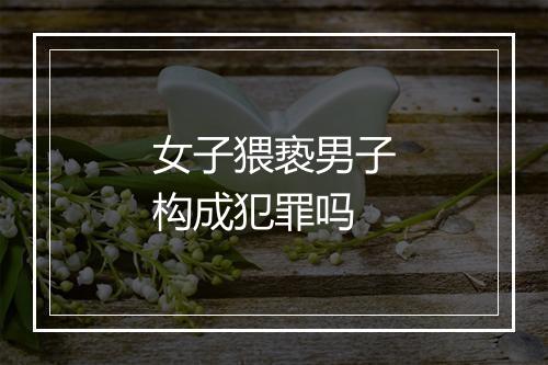 女子猥亵男子构成犯罪吗