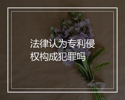 法律认为专利侵权构成犯罪吗
