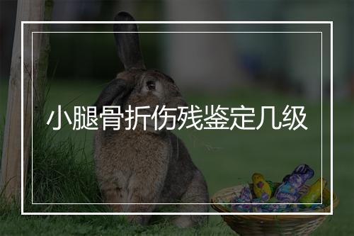 小腿骨折伤残鉴定几级