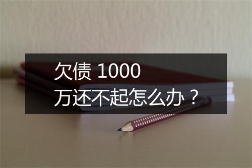 欠债 1000 万还不起怎么办？
