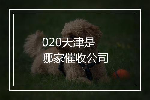 020天津是哪家催收公司