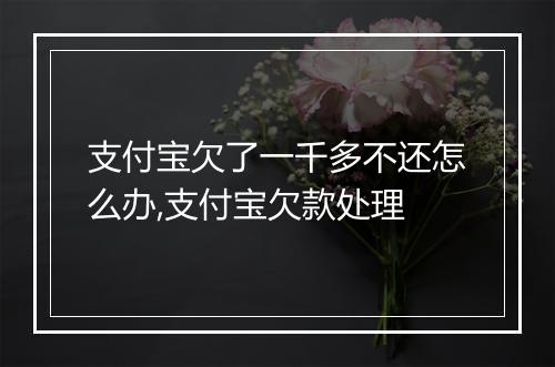 支付宝欠了一千多不还怎么办,支付宝欠款处理