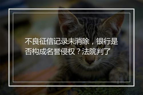 不良征信记录未消除，银行是否构成名誉侵权？法院判了