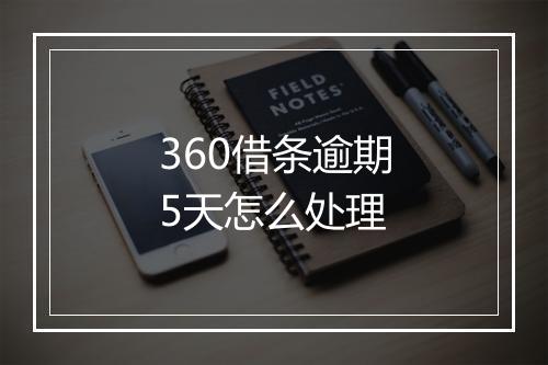 360借条逾期5天怎么处理