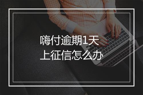 嗨付逾期1天上征信怎么办