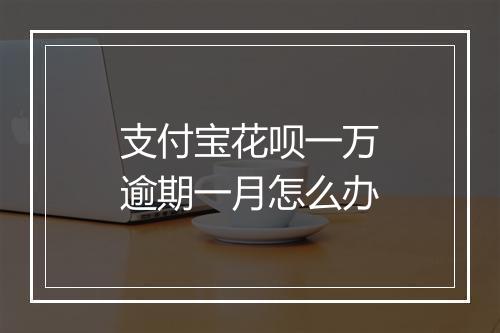 支付宝花呗一万逾期一月怎么办