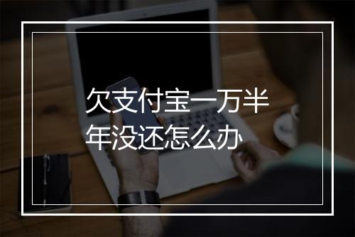 欠支付宝一万半年没还怎么办