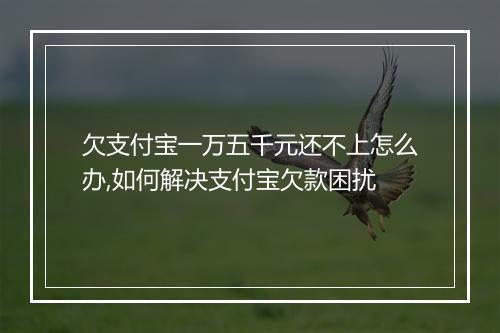 欠支付宝一万五千元还不上怎么办,如何解决支付宝欠款困扰