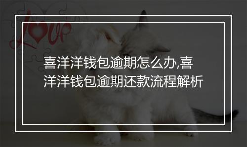 喜洋洋钱包逾期怎么办,喜洋洋钱包逾期还款流程解析