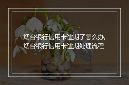 烟台银行信用卡逾期了怎么办,烟台银行信用卡逾期处理流程