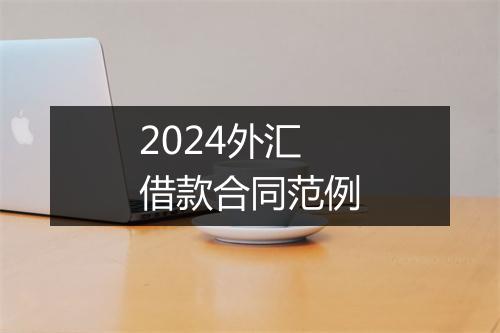 2024外汇借款合同范例